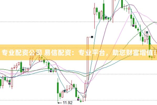 专业配资公司 易信配资:专业平台,助您财富增值!